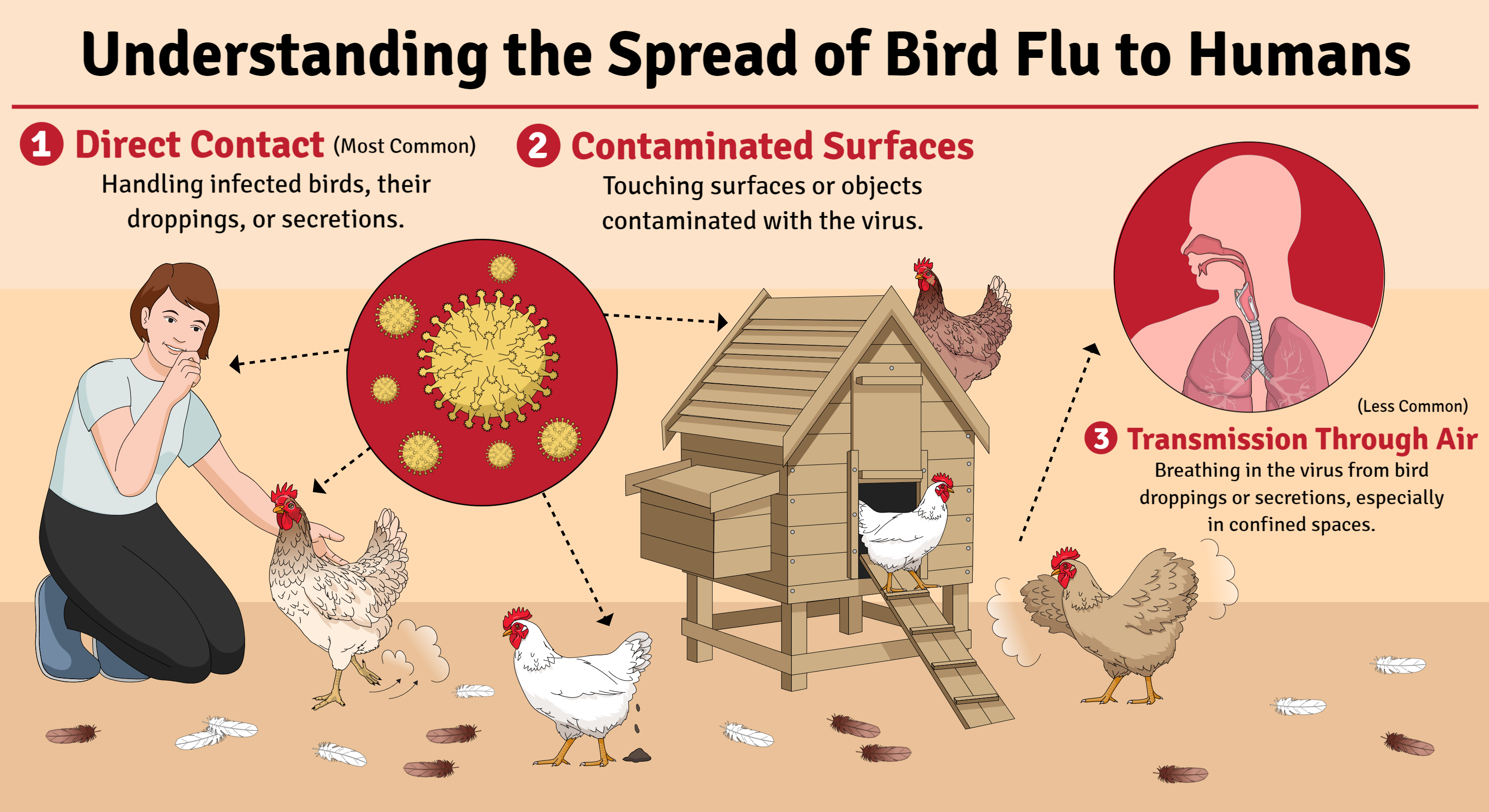Slides Presentations template Bird Flu