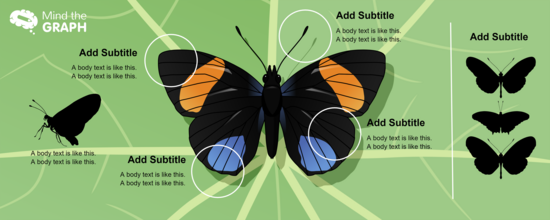 Graphical Abstracts template preview