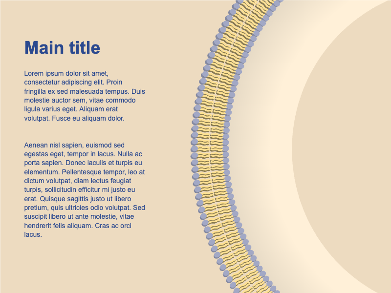 Slides Presentations template Cell membrane1