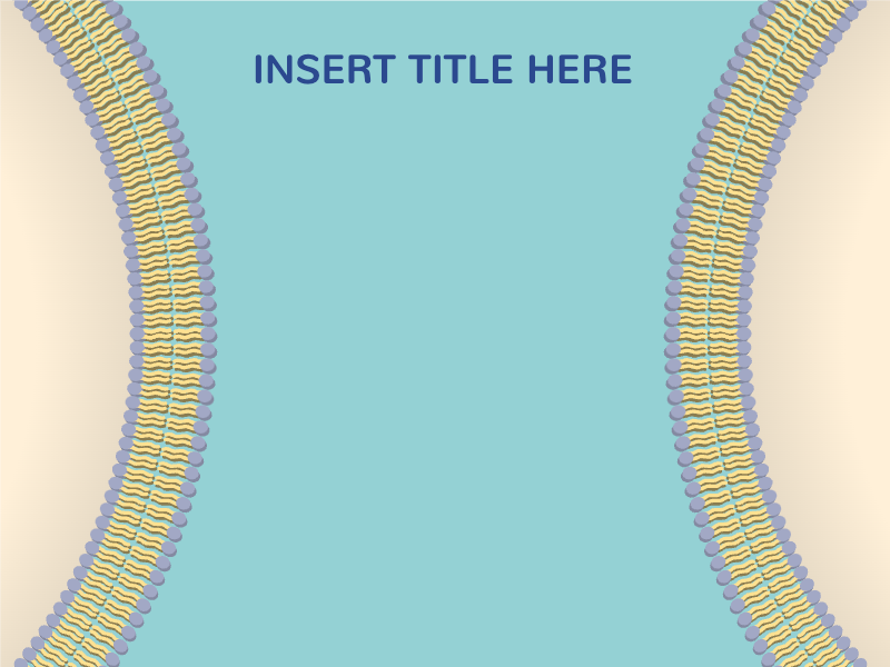 Slides Presentations template Cell membrane2