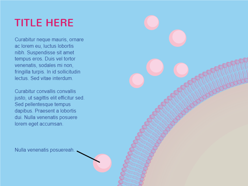 Slides Presentations template Cell membrane5