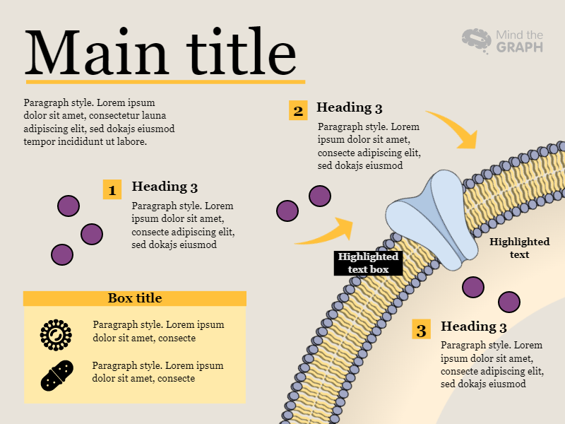 Slides Presentations template Cell membrane6