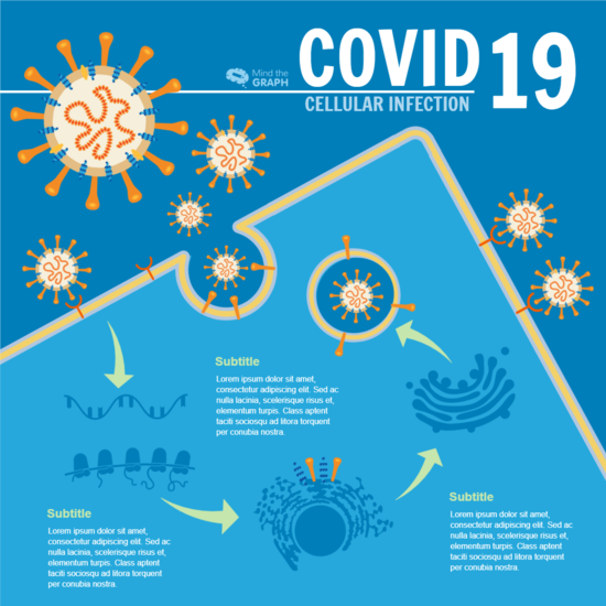 Infographics template preview