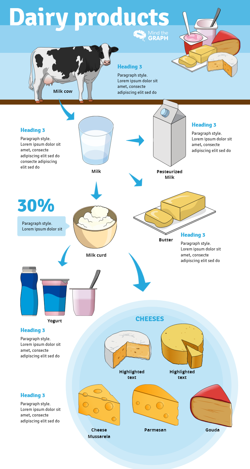 Infographics template Dairy products