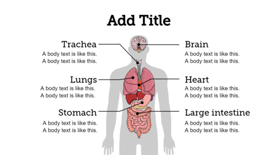 Graphical Abstracts template preview