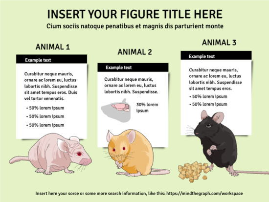 Slides Presentations template preview