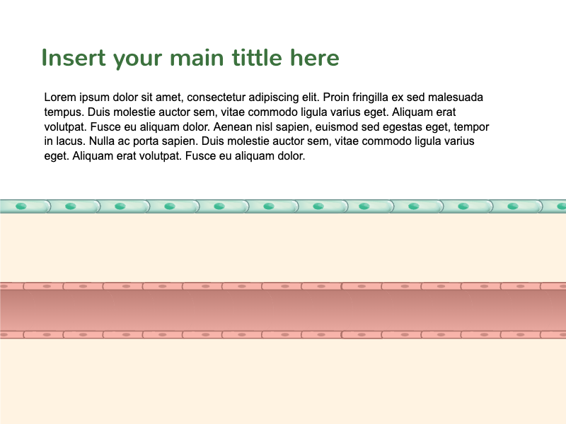 Slides Presentations template Immunology6