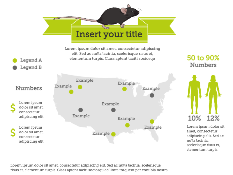 Slides Presentations template Mouse