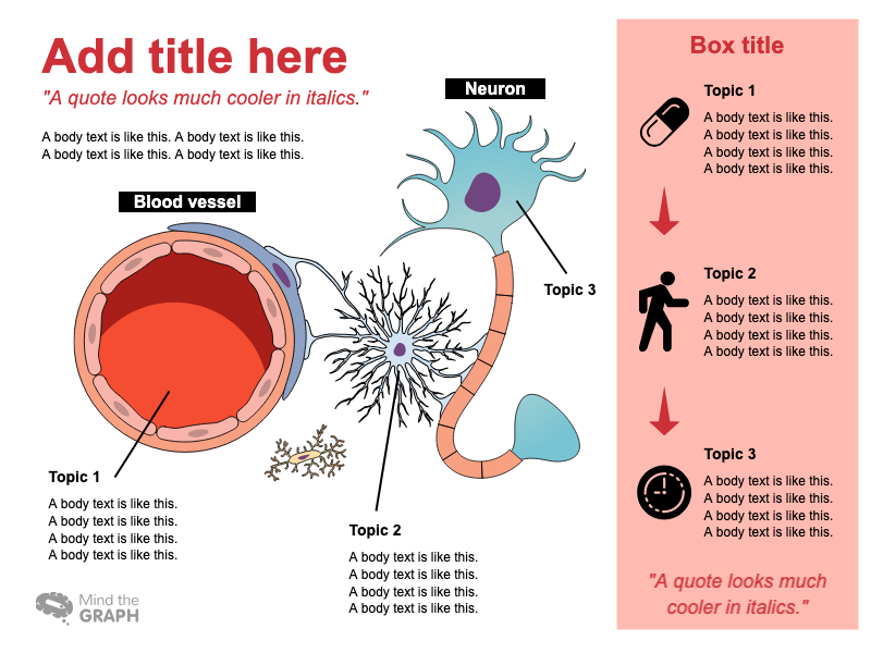Slides Presentations template Neuron and Blood Vessel