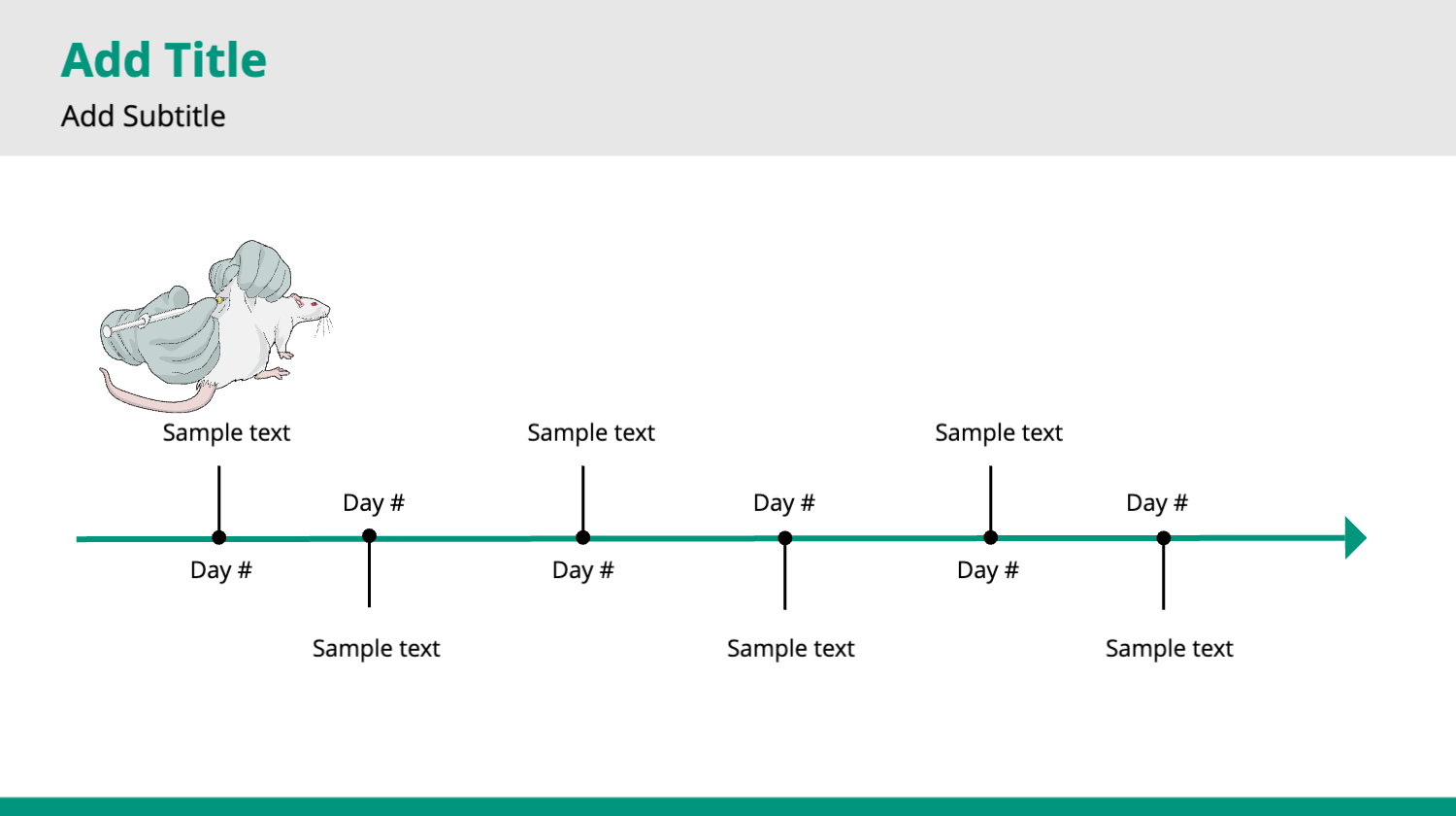 Graphical Abstracts template Rat timeline