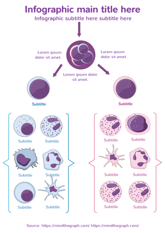 Infographics template preview
