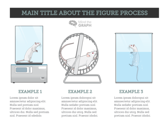Slides Presentations template preview