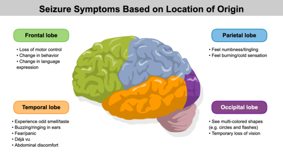 Graphical Abstracts template preview