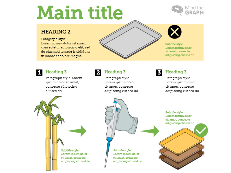 Infographics template Sugar cane tray